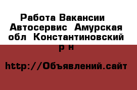 Работа Вакансии - Автосервис. Амурская обл.,Константиновский р-н